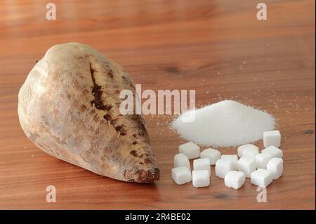 Barbabietole da zucchero e zucchero bianco (Beta vulgaris ssp. vulgaris var. altissima), barbabietole da zucchero, barbabietole da zucchero, zucchero bianco, zucchero raffinato, zucchero a grumo Foto Stock