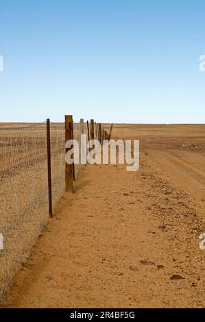 Parte della recinzione del dingo, lunga circa 6500 km, Australia Meridionale, Australia Foto Stock