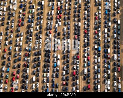 Parookaville GmbH, Radar Musik und Unterhaltungs GmbH, partecipanti al PAROOKAVILLE, Festival di musica elettronica, festival della manifestazione Foto Stock