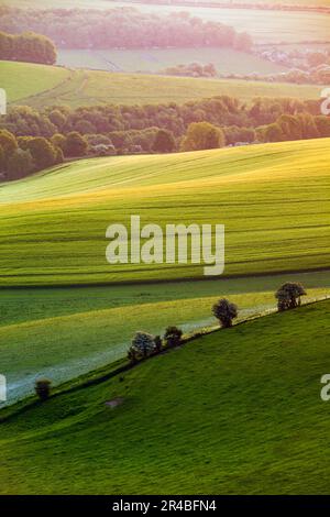 Alba primaverile sulle South Downs nel Sussex orientale, Inghilterra. Foto Stock
