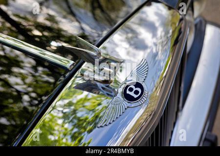 Emblema Bentley e una mascotte per radiatori di Bentley S2 Continental, Classic Days, Berlino, Germania Foto Stock