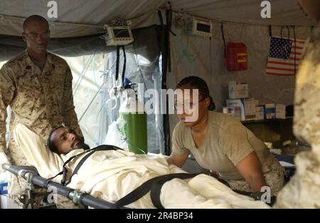 US Navy U.S.A. Navy Hospitalman ha lasciato, e l'Ospedale Corpsman 3rd Classe sollevare un paziente su una cucciolata presso l'ospedale da campo a Shinkiari, Pakistan. Foto Stock