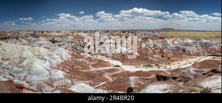 Una vista panoramica di Blue Mesa e dei multicolore buttes nel Parco Nazionale della Foresta pietrificata, Arizona USA Foto Stock