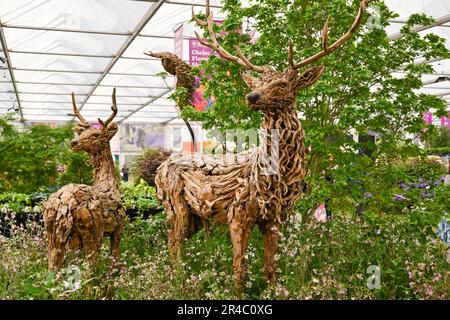 Londra, Regno Unito. 27th maggio, 2023. Chelsea, Londra, Regno Unito il 27 2023 maggio. Al RHS Chelsea Flower Show al Royal Hospital Chelsea, Londra, Regno Unito il 27 2023 maggio. Credit: Francis Knight/Alamy Live News Foto Stock