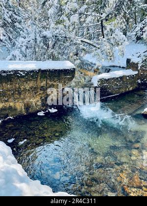 Un piccolo ruscello di un lago circondato da alberi ricoperti di neve Foto Stock