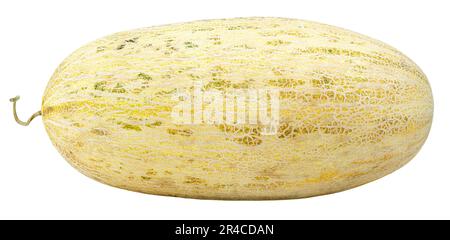 Melone ovale isolato su sfondo bianco. Melone russo uzbeco con percorso di ritaglio. Profondità di campo completa. Foto Stock