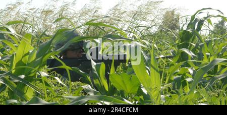 US NAVY A U.S. Militare Soldato da 1st battaglione, 68th Combined Arms Regiment, 3rd Heavy Brigade Combat Team, 4th Divisione Fanteria è guardia in un campo vicino a Tafaria, Iraq. Foto Stock