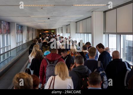 Aeroporto Gatwick di Londra, Horley, Surrey, Regno Unito. 27th maggio, 2023. Il sistema automatico e-Passport gate è fallito per gli arrivi all'aeroporto di Gatwick, con conseguenti ritardi di circa un'ora per lo sdoganamento. I passeggeri in arrivo vengono gestiti manualmente dal personale della forza di frontiera con meno della metà delle cabine disponibili in funzione. Le code dei passeggeri stanno retrocettando attraverso i corridoi dell'aeroporto Foto Stock