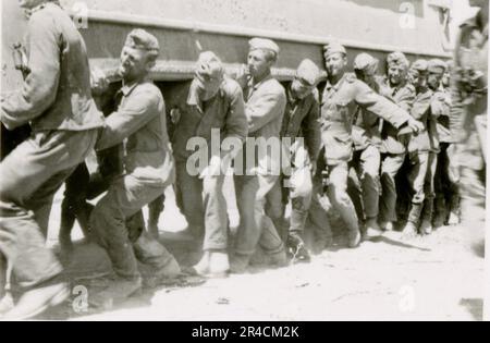 SS fotografo Willi Altstadt, Wiking Division, Russia 1942. Scene del villaggio della zona di Rostov, un Panzer III (con simboli unitari) e granatieri panzer sulla steppa, scene di combattimento lungo un fiume, primi piani della fanteria sul campo con armi individuali e servite dall'equipaggio, attraversamento del fiume (zattere d'assalto e pontone), costruzione di un blocco stradale, prigionieri di guerra russi, I soldati delle SS pescano e nuotano, cerimonia di premiazione delle unità, posto di osservazione affacciato su un fiume e equipaggio di artiglieria pesante con howitzer. Immagini che illustrano le attività in prima linea delle unità Waffen-SS sul fronte occidentale e orientale, i Foto Stock