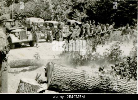 SS fotografo Willi Altstadt, Wiking Division, Russia 1942. Scene del villaggio della zona di Rostov, un Panzer III (con simboli unitari) e granatieri panzer sulla steppa, scene di combattimento lungo un fiume, primi piani della fanteria sul campo con armi individuali e servite dall'equipaggio, attraversamento del fiume (zattere d'assalto e pontone), costruzione di un blocco stradale, prigionieri di guerra russi, I soldati delle SS pescano e nuotano, cerimonia di premiazione delle unità, posto di osservazione affacciato su un fiume e equipaggio di artiglieria pesante con howitzer. Immagini che illustrano le attività in prima linea delle unità Waffen-SS sul fronte occidentale e orientale, i Foto Stock