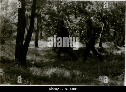 SS fotografo Willi Altstadt, Wiking Division, Russia 1942. Scene del villaggio della zona di Rostov, un Panzer III (con simboli unitari) e granatieri panzer sulla steppa, scene di combattimento lungo un fiume, primi piani della fanteria sul campo con armi individuali e servite dall'equipaggio, attraversamento del fiume (zattere d'assalto e pontone), costruzione di un blocco stradale, prigionieri di guerra russi, I soldati delle SS pescano e nuotano, cerimonia di premiazione delle unità, posto di osservazione affacciato su un fiume e equipaggio di artiglieria pesante con howitzer. Immagini che illustrano le attività in prima linea delle unità Waffen-SS sul fronte occidentale e orientale, i Foto Stock