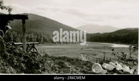SS fotografo Willi Altstadt, Wiking Division, Russia 1942. Scene del villaggio della zona di Rostov, un Panzer III (con simboli unitari) e granatieri panzer sulla steppa, scene di combattimento lungo un fiume, primi piani della fanteria sul campo con armi individuali e servite dall'equipaggio, attraversamento del fiume (zattere d'assalto e pontone), costruzione di un blocco stradale, prigionieri di guerra russi, I soldati delle SS pescano e nuotano, cerimonia di premiazione delle unità, posto di osservazione affacciato su un fiume e equipaggio di artiglieria pesante con howitzer. Immagini che illustrano le attività in prima linea delle unità Waffen-SS sul fronte occidentale e orientale, i Foto Stock