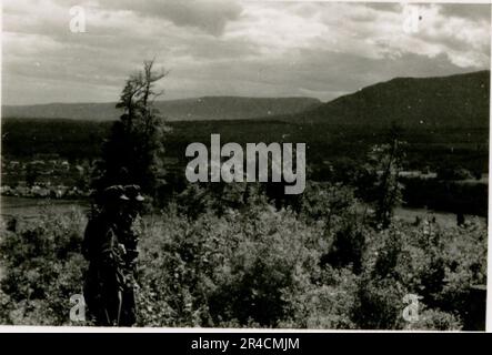 SS fotografo Willi Altstadt, Wiking Division, Russia 1942. Scene del villaggio della zona di Rostov, un Panzer III (con simboli unitari) e granatieri panzer sulla steppa, scene di combattimento lungo un fiume, primi piani della fanteria sul campo con armi individuali e servite dall'equipaggio, attraversamento del fiume (zattere d'assalto e pontone), costruzione di un blocco stradale, prigionieri di guerra russi, I soldati delle SS pescano e nuotano, cerimonia di premiazione delle unità, posto di osservazione affacciato su un fiume e equipaggio di artiglieria pesante con howitzer. Immagini che illustrano le attività in prima linea delle unità Waffen-SS sul fronte occidentale e orientale, i Foto Stock