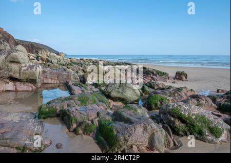 Formazione rocce situato alla fine della spiaggia a Freshwater East Pembrokeshire Foto Stock