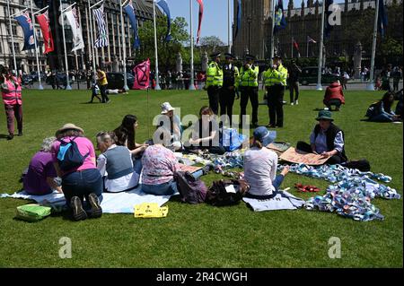 Londra, Regno Unito. 27th maggio, 2023. Non è il mio progetto di legge che si oppone al progetto di legge sull'ordine pubblico, è giunto il momento di riportare indietro la nostra democrazia. Londra, fermare la discriminazione contro gli zingari e i viaggiatori, i rifugiati, abolire la monarchia, opporsi al razzismo, fermare il petrolio, il nostro diritto di protestare, no allo Stato di polizia, vegano e io sostengo la Palestina nella piazza del Parlamento. Credit: Vedi li/Picture Capital/Alamy Live News Foto Stock