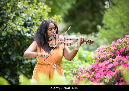 Bella donna nera che suona il violino in un parco a Parigi Foto Stock