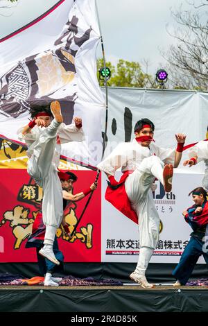 Giovani danzatori giapponesi Yosakoi che indossano yukata bianca e pantaloni con sashes rosso, sul palco dell'annuale festival di danza Kyusyu Gassai a Kumamoto. Foto Stock