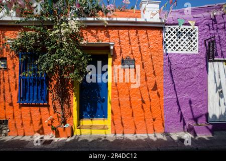 Una casa colorata con un albero che cresce su di essa a Cartagena Colombia Foto Stock