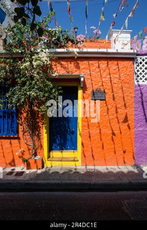 Una casa colorata con un albero che cresce su di essa a Cartagena Colombia Foto Stock