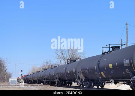 Elgin, Illinois, Stati Uniti. Una lunga serie di carri armati in un treno merci che passa attraverso l'Illinois nordorientale. Foto Stock