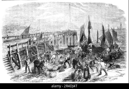 La pesca di aringa di Yarmouth - ritorno delle barche, 1856. Pesca nell'Anglia orientale: '...le barche vanno verso sud fino alla foce del Tamigi e della Foreland meridionale. Gli aringhe inoltre frequentano una parte opposta Yarmouth denominata il capo ed un posto conosciuto....come la Banca marrone, sulla costa olandese. C'è anche una specie più piccola di aringa catturata a Yarmouth, da barche più vicine alla riva; sono di buona qualità, e sono chiamati "lunghe rive", o "alonshore herrings". Quando la pesca è vicina a casa, un gran numero di barche partono dalla riva al tramonto per mettere le loro reti, tornando in t Foto Stock