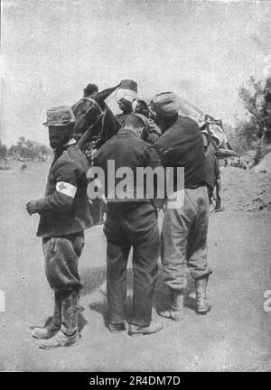 ''l'expedition des Dardanelli, Heures D'Accalmie; un tirailleur blesse ramene des tranchees a l'ambulance sur un mulet', 1915 (1924). From "l'Album de la Guerre 1914-1919, Volume i" [l'Illustration, Paris, 1924]. Foto Stock