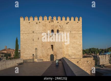 Torre Calahorra - Cordoba, Andalusia, Spagna Foto Stock