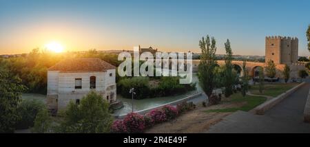 Vista panoramica del fiume Guadalquivir al tramonto con il mulino ad acqua di San Antonio, il ponte romano, la torre Calahorra e la cattedrale - Cordoba, Andalusia, Spagna Foto Stock