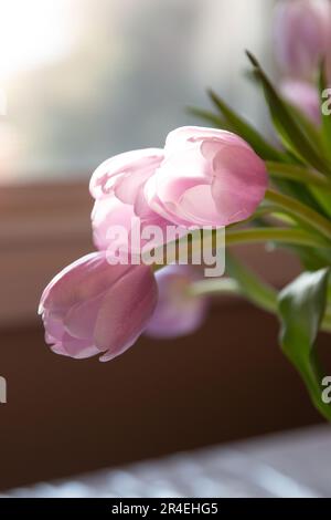 Pink tulip bouquet Foto Stock