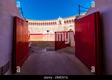 Arena o ruedo, un campo di roccia densamente schiacciata, albero, che è il palcoscenico per la corrida. L'arena di Melilla, conosciuta anche come la moschea Foto Stock