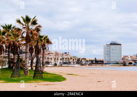 Prato paesaggistico con palme sulla spiaggia di Los Cárabos. Spiaggia Bandiera Blu. L'iconica Bandiera Blu è uno dei premi volontari più riconosciuti al mondo Foto Stock