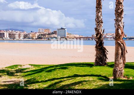 Prato paesaggistico con palme sulla spiaggia di la Hípica. Spiaggia Bandiera Blu. L'iconica Bandiera Blu è uno dei premi volontari più riconosciuti al mondo per Foto Stock