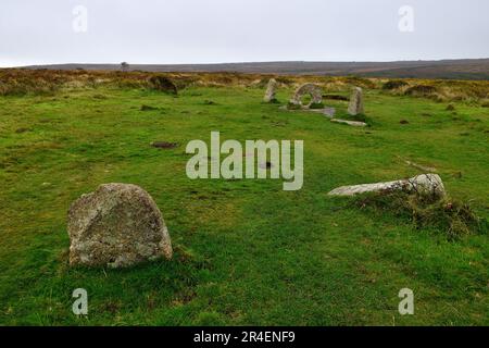 Uomini-un-Tol e mucche Foto Stock