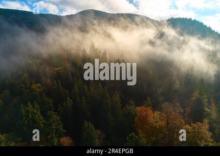 La nebbia si diffonde sulle montagne all'alba. Il sole sorge all'orizzonte. Carpazi ucraini al mattino. Vista aerea del drone. Foto Stock