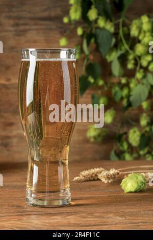 Bicchiere di birra, green hop fresco e spike su tavola di legno Foto Stock