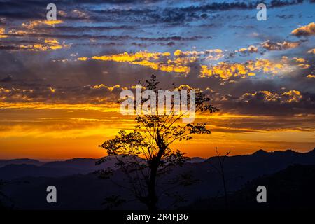 Albero contro Panorama colorato magnifico tramonto in campagna sopra colline e campi, bellezza sfondo natura e nuvole cielo Foto Stock