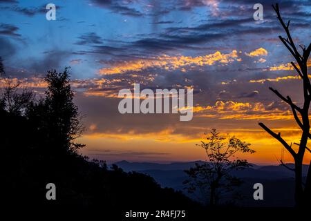 Albero contro Panorama colorato magnifico tramonto in campagna sopra colline e campi, bellezza sfondo natura e nuvole cielo Foto Stock