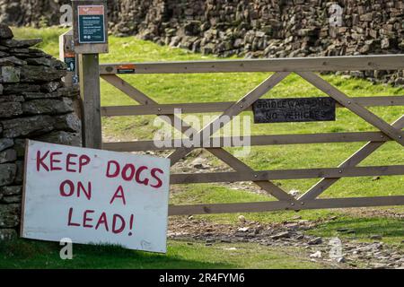 Tieni i cani su un cartello con la scritta "Lead" sul pubic Right of Way nello Yorkshire Dales, Regno Unito, per proteggere uccelli e agnelli che nidificano a terra in Springtime. Horizont Foto Stock