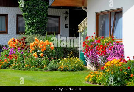 Baden-Wuerttemberg, casa nella Foresta Nera con giardino fiorito in estate, diversi fiori estivi in giardino, petunie e gerani alla finestra Foto Stock