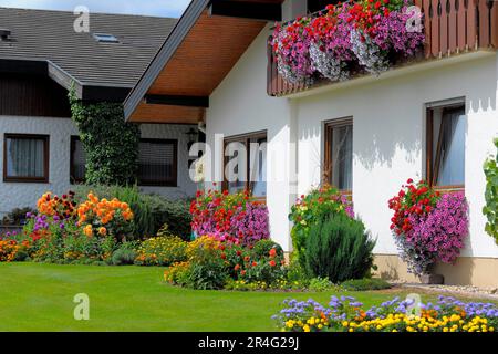 Baden-Wuerttemberg, Foresta Nera casa con giardino fiorito in estate, diversi fiori estivi in giardino, balcone con petunie e gerani Foto Stock