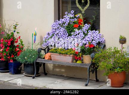 Baden-Wuerttemberg, Foresta Nera vari fiori estivi presso la casa, petunie alla finestra all'esterno Foto Stock