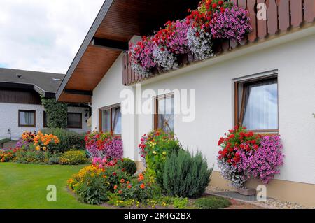 Baden-Wuerttemberg, Foresta Nera casa con giardino fiorito in estate, diversi fiori estivi in giardino, balcone con petunie e gerani Foto Stock