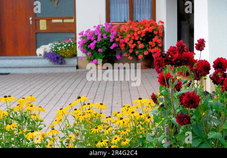 Baden-Wuerttemberg, casa nella Foresta Nera con giardino fiorito in estate, diversi fiori estivi in giardino, petunie e gerani alla finestra Foto Stock