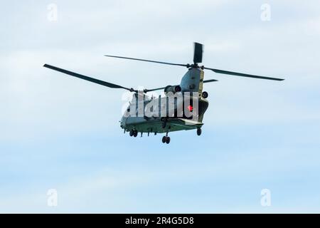 Elicottero Chinook HC2 visualizzazione ad Airbourne Foto Stock