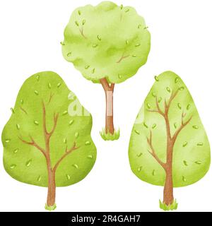 Set di cartoni animati verdi estate o alberi primaverili isolati su sfondo bianco per il disegno paesaggistico e architettonico, elementi per l'ambiente e il giardino Foto Stock