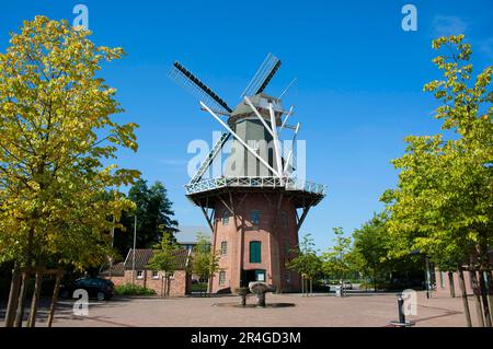 Mulino a vento Meyers, Papenburg, bassa Sassonia, Germania, Mulino, Galleriehollaender Foto Stock