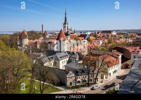 I tetti di Vanalinn o della Città Vecchia sono visti dalla piattaforma di osservazione di Patkuli a Tallinn, Estonia Foto Stock