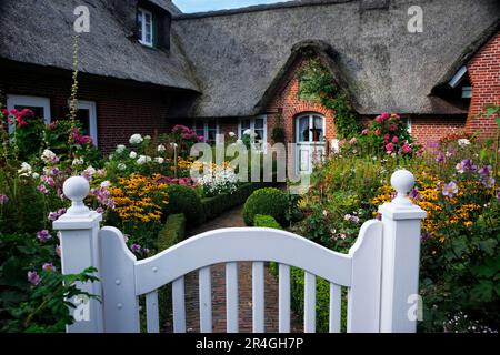 Casa Frisia, casa di paglia, Sankt Peter-Ording, Frisia del Nord, Schleswig-Holstein, Germania Foto Stock