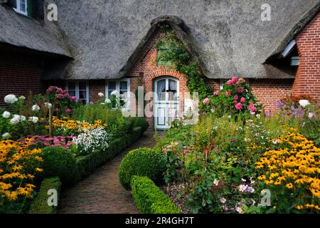 Casa Frisia, casa di paglia, Sankt Peter-Ording, Frisia del Nord, Schleswig-Holstein, Germania Foto Stock