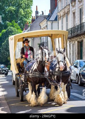 Team di cavalli dray tirando tradizionale pullman turistico turistico - Tours, Indre-et-Loire (37), Francia. Foto Stock